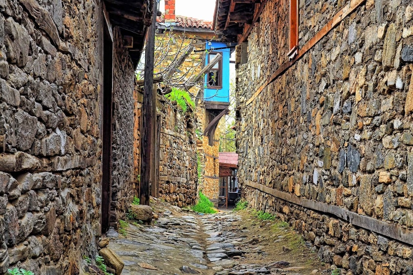 Picture 5 for Activity From Istanbul: Private Guided Tour to Bursa