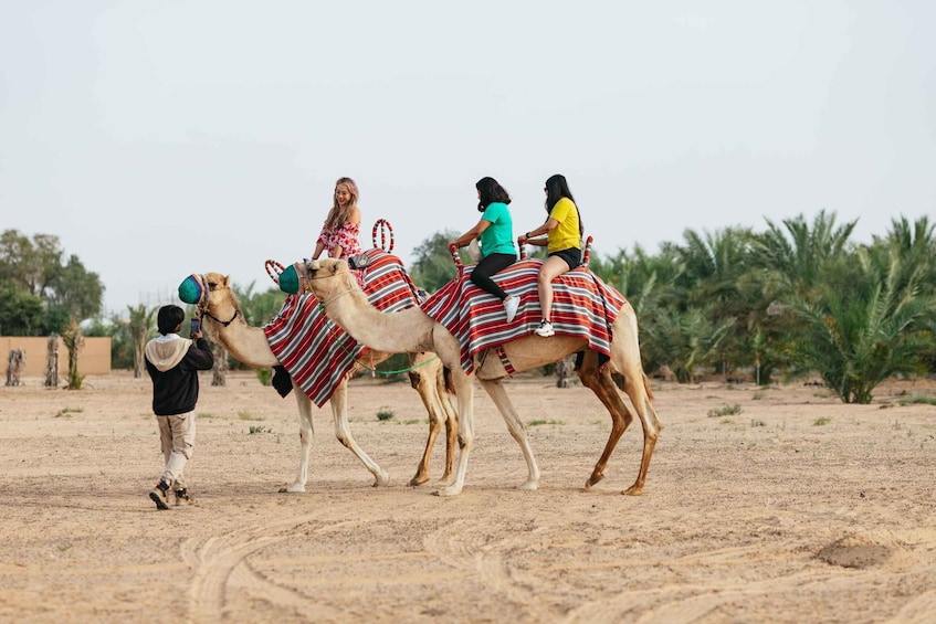 Picture 12 for Activity Dubai: Sunrise Air Balloon Ride with Camel Ride & Breakfast