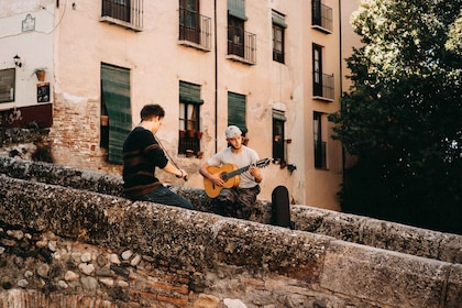 Granada: recorrido a pie por el Albaicín y el Sacromonte y espectáculo de f...