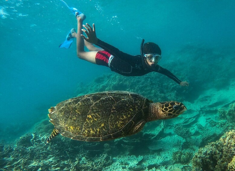 Picture 3 for Activity Blue Bay: Totof Tours 4 hour Snorkeling in the Marine Park