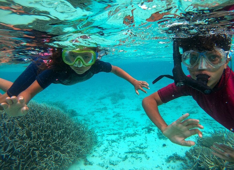 Picture 1 for Activity Blue Bay: Totof Tours 4 hour Snorkeling in the Marine Park