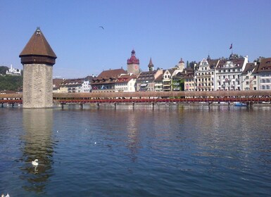 Depuis Bâle : Excursion d'une journée à Lucerne et croisière sur le lac des...