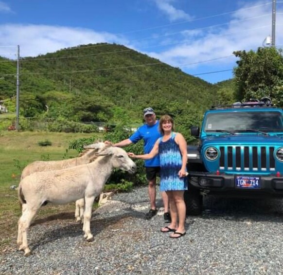 Picture 3 for Activity Saint Thomas: Private Tour of the Island and Magens Ba