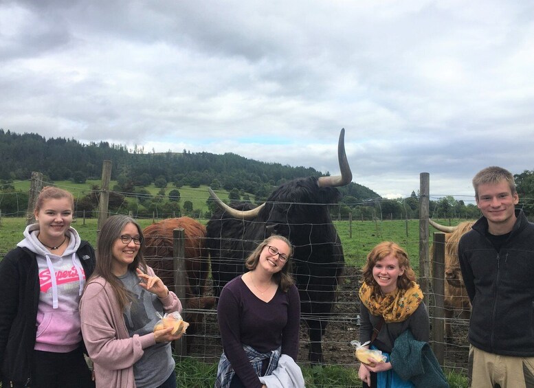 Picture 3 for Activity From Balloch: Loch Lomond National Park Tour with 2 Walks