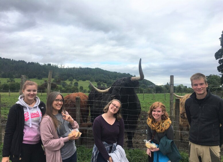 Picture 3 for Activity From Balloch: Loch Lomond National Park Tour with 2 Walks