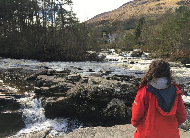 Picture 5 for Activity From Balloch: Loch Lomond National Park Tour with 2 Walks