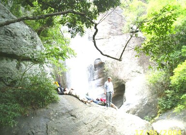 Ella-Trekking through Forest Tea Plantation & Waterfalls