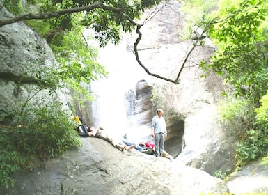 Ella-Trekking through Forest Tea Plantation & Waterfalls