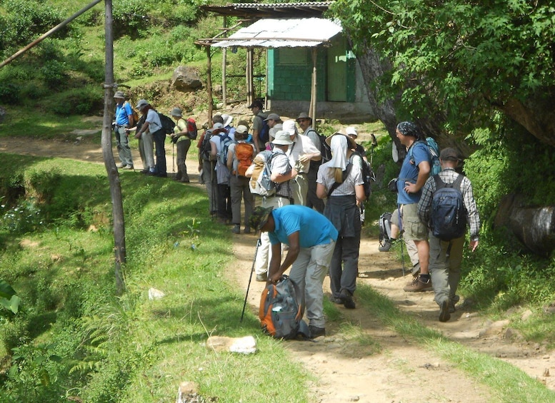 Picture 15 for Activity Ella-Trekking through Forest Tea Plantation & Waterfalls