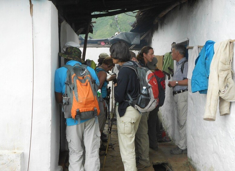 Picture 12 for Activity Ella-Trekking through Forest Tea Plantation & Waterfalls