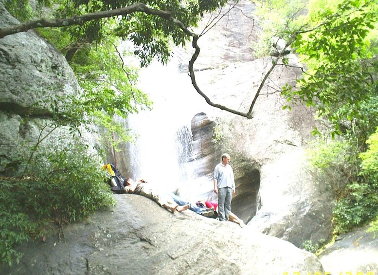 Ella-Trekking through Forest Tea Plantation & Waterfalls