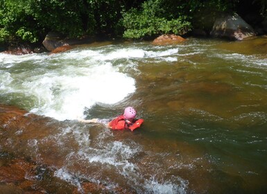 Alcantara River: Body Rafting & 'Pasta Alla Norma' frokost