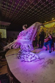 Granada: Flamencoforestilling på Tablao Flamenco Albayzín