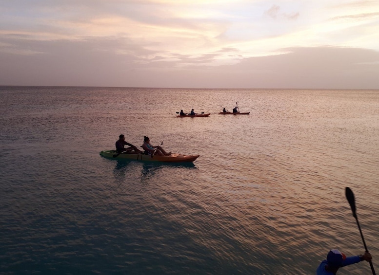 Aruba: Clear-bottom Kayak Guided Night Tour on Arashi Beach
