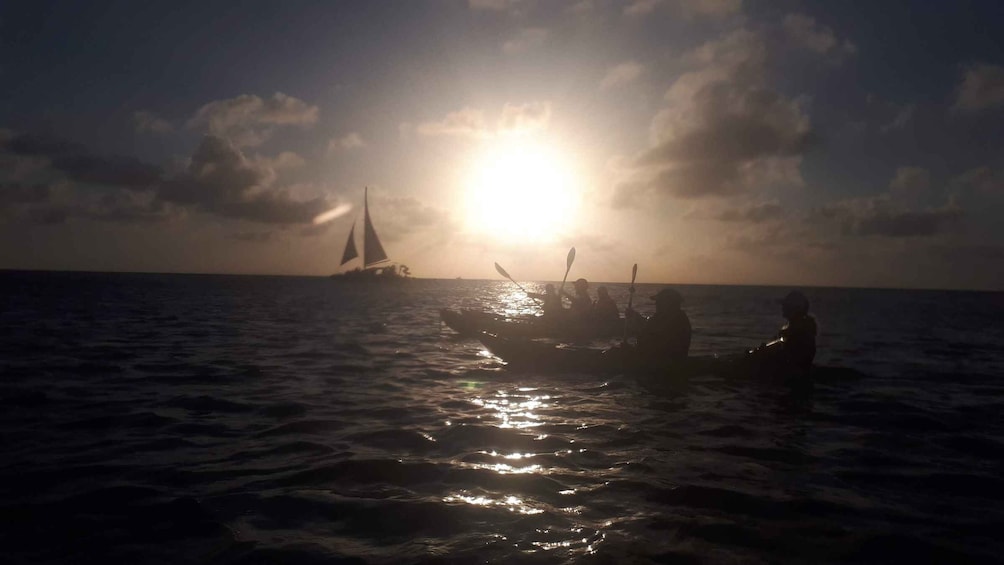 Picture 1 for Activity Aruba: Clear-bottom Kayak Guided Night Tour on Arashi Beach