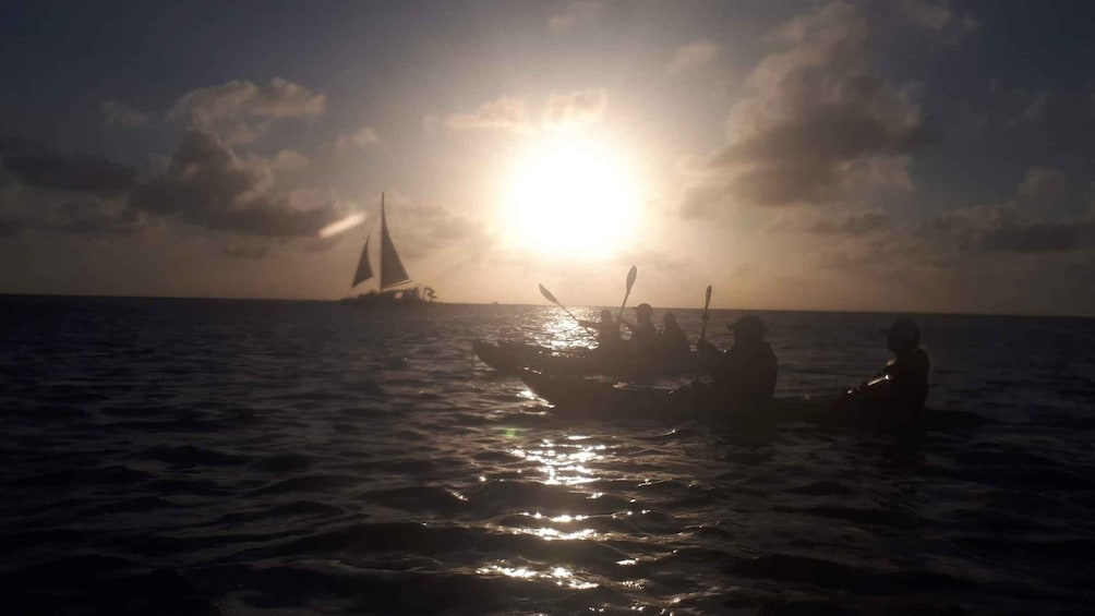 Picture 1 for Activity Aruba: Clear-bottom Kayak Guided Night Tour on Arashi Beach