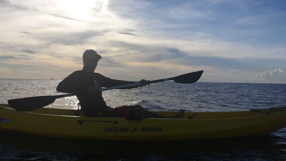 Picture 4 for Activity Aruba: Clear-bottom Kayak Guided Night Tour on Arashi Beach