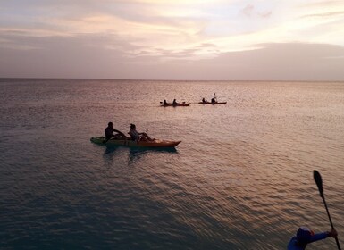 Aruba: Clear-bottom Kayak Guided Night Tour on Arashi Beach