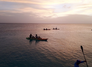 อารูบา: พายเรือคายัคจากพื้นใสพร้อมไกด์ทัวร์กลางคืนบนหาดอาราชิ