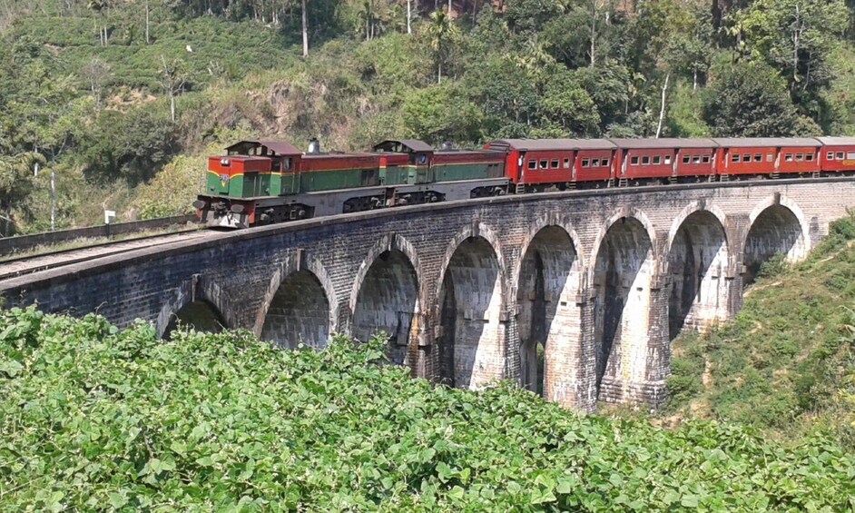 Picture 2 for Activity Haputale: Ella, Small Adam's Peak, & Nine Arches Bridge Hike