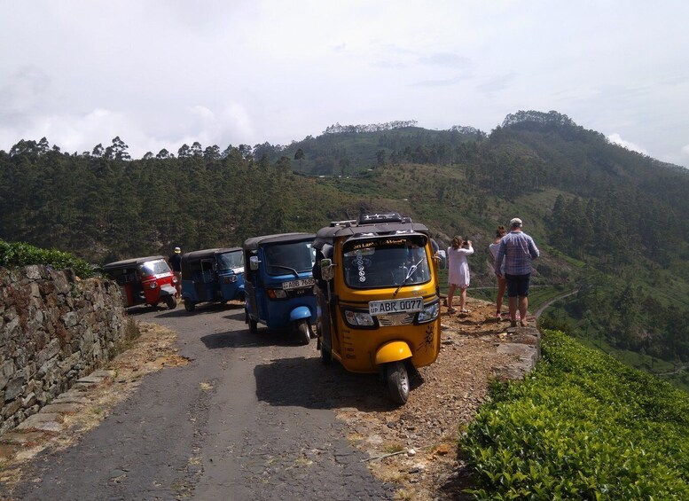 Haputale: Ella, Small Adam's Peak, & Nine Arches Bridge Hike