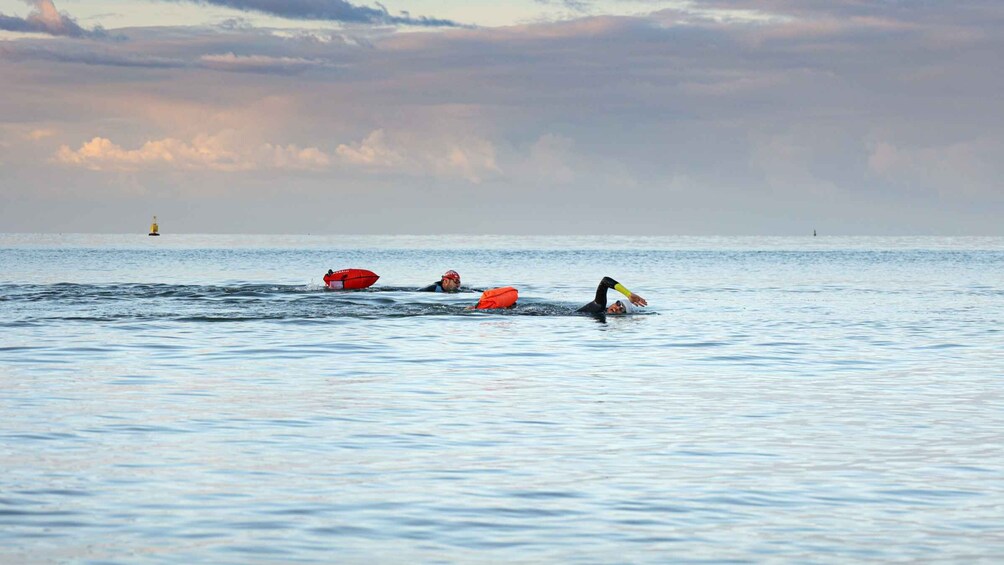 Picture 7 for Activity Cascais: Open Water Swimming