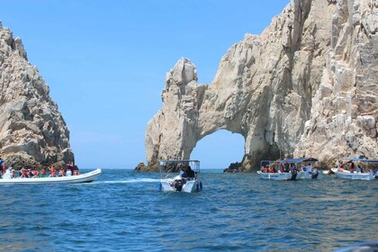 Cabo San Lucas : Visite de la ville et Journée de la plage