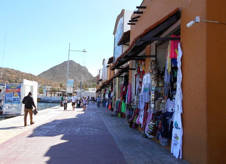 Picture 8 for Activity Cabo San Lucas: City Tour and Beach Day