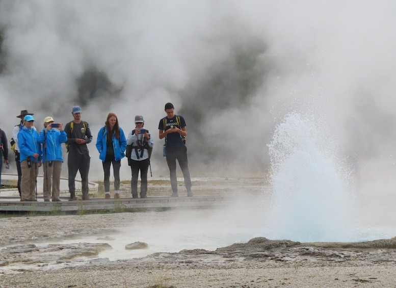 Yellowstone: Upper Geyser Basin Hike with Lunch
