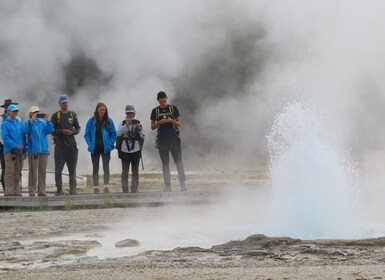 Yellowstone: Upper Geyser Basin Hike with Lunch