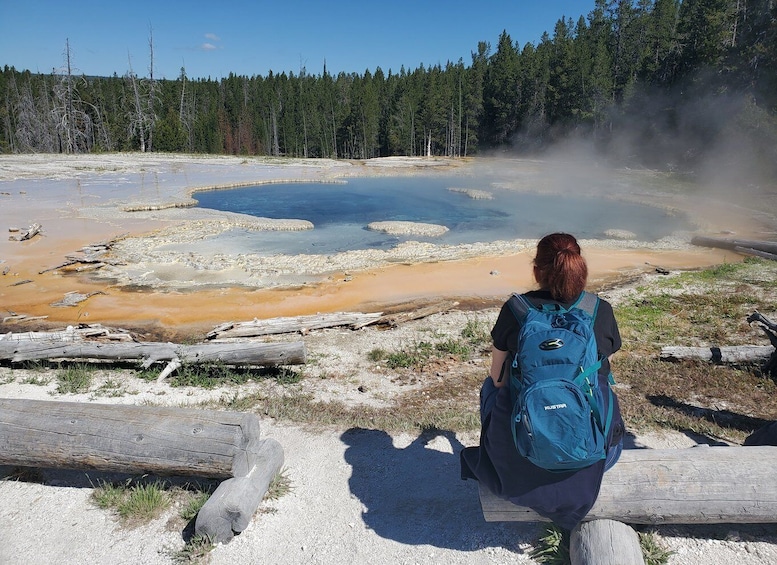Picture 1 for Activity Yellowstone: Upper Geyser Basin Hike with Lunch
