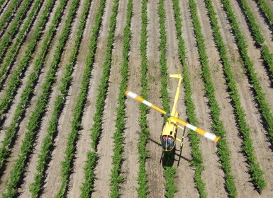 Barossa Valley: 10-minütiger Rundflug mit dem Hubschrauber