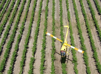 Barossa Valley: 10-minütiger Rundflug mit dem Hubschrauber