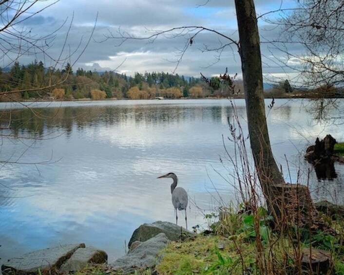 Picture 6 for Activity Discover Stanley Park with a Smartphone Audio Walking Tour