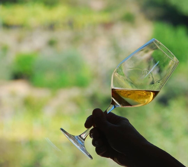 Picture 1 for Activity Cinque Terre: Wine Tasting in Monterosso