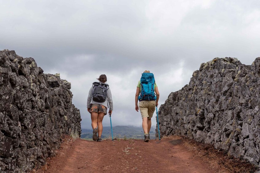 Picture 4 for Activity Madalena: UNESCO Heritage Vineyard Trail Hiking Tour