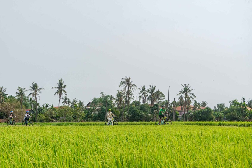 Picture 1 for Activity Siem Reap: Countryside Sunset Bike Ride