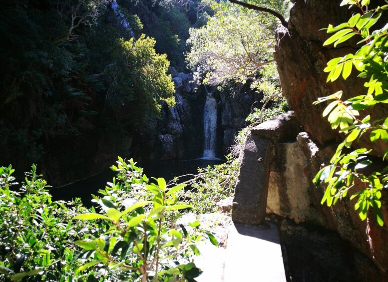 Picture 5 for Activity From Stellenbosch: Hermanus Whale Route Tour