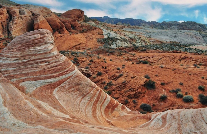 Picture 1 for Activity Las Vegas: Valley Of Fire State Park Tour