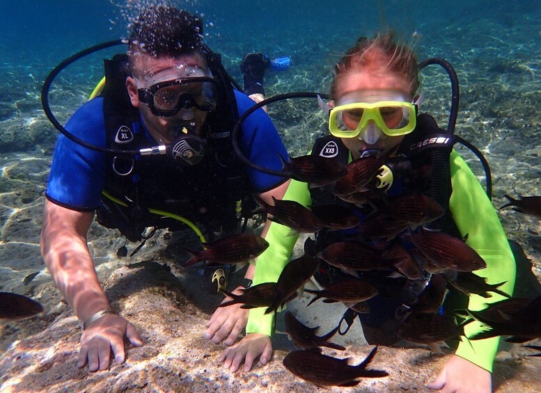 Picture 3 for Activity Protaras: Bubblemaker Diving Course & 2-Meter Dive