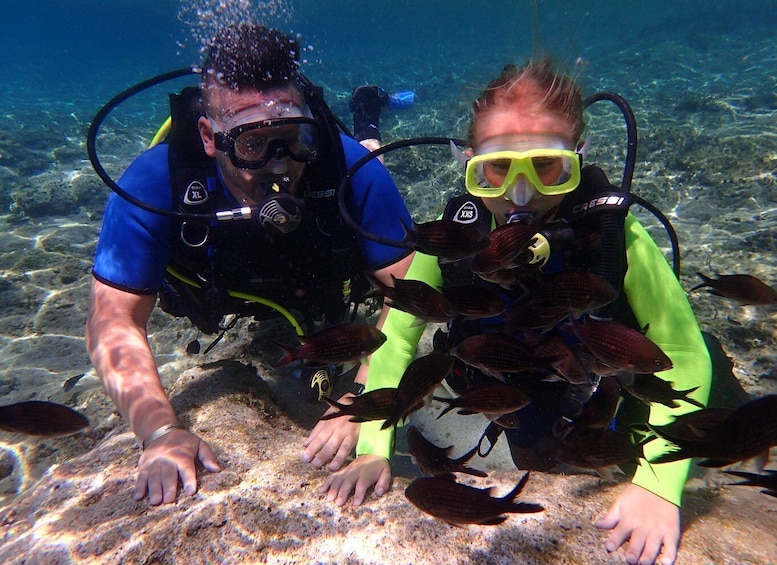 Picture 3 for Activity Protaras: Bubblemaker Diving Course & 2-Meter Dive