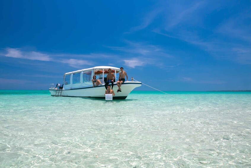 Picture 7 for Activity Ishigaki Island: Boat Snorkeling Tour at Phantom Island
