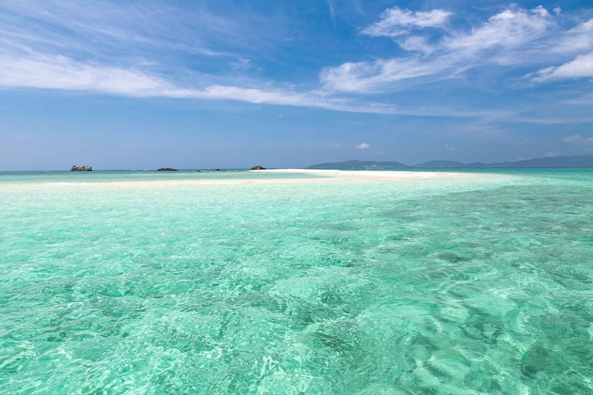 Picture 11 for Activity Ishigaki Island: Boat Snorkeling Tour at Phantom Island