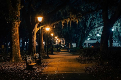 Savannah: Adults-Only Beyond Good and Evil Tour