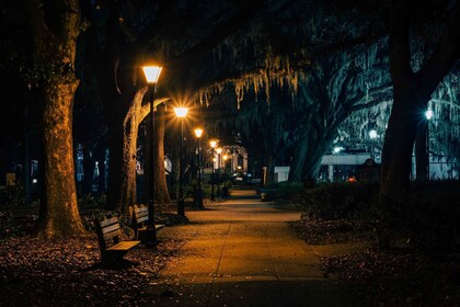 Savannah: Beyond Good and Evil Tour