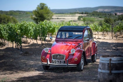 Au départ de Montpellier : Visite de vignobles en Citroën 2CV d'époque