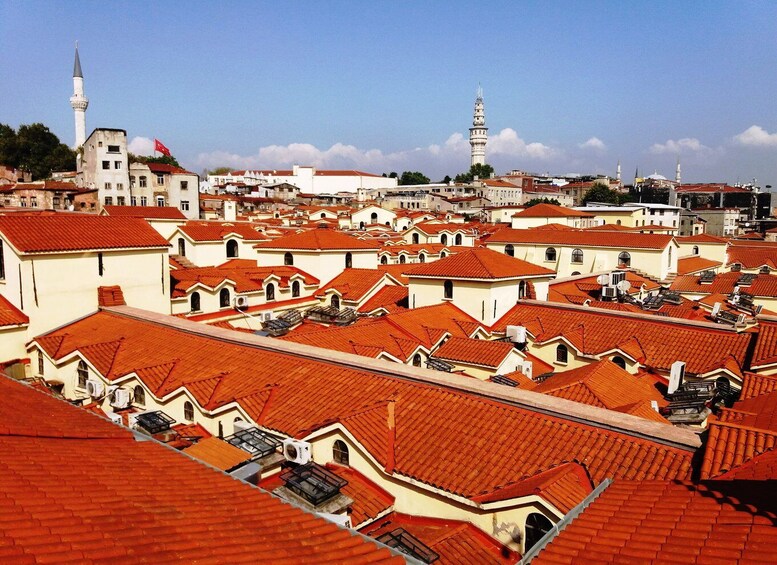 Picture 6 for Activity Istanbul: Grand Bazaar Rooftops Private Walking Tour