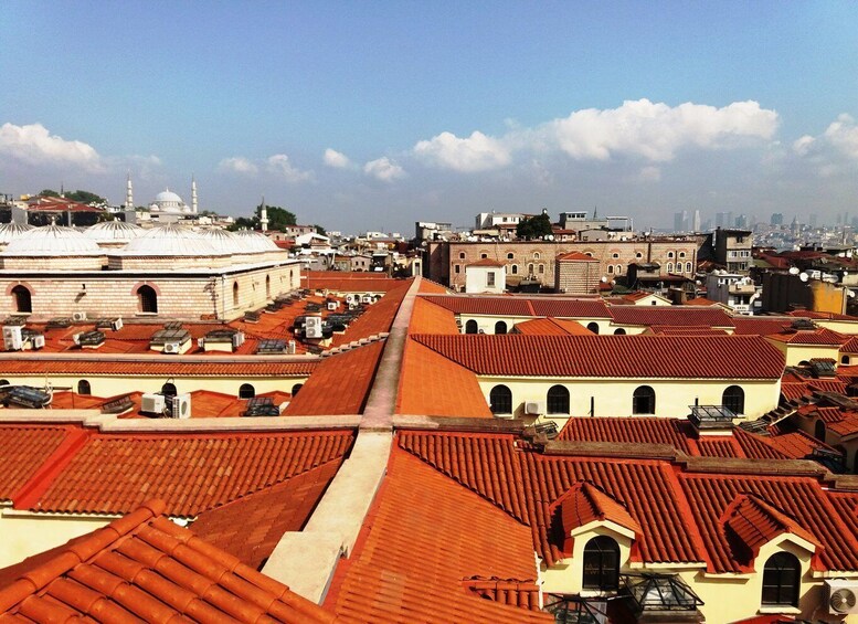 Picture 4 for Activity Istanbul: Grand Bazaar Rooftops Private Walking Tour