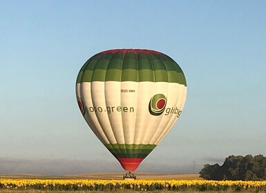 Von Sevilla: Heißluftballonfahrt nach Huelva