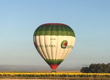 Vanuit Sevilla: Luchtballonvaart naar Huelva